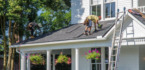 Best Roof Gutter Cleaning  in Tamaqua, PA